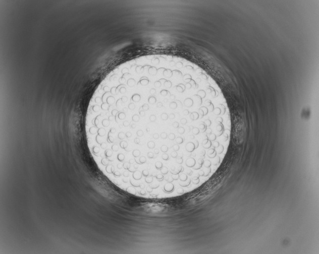 X0000116270654201001111015