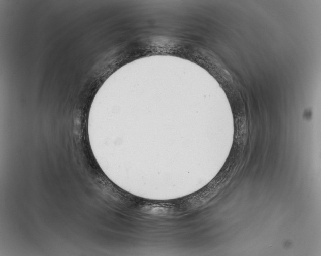 X0000116270655201001111015