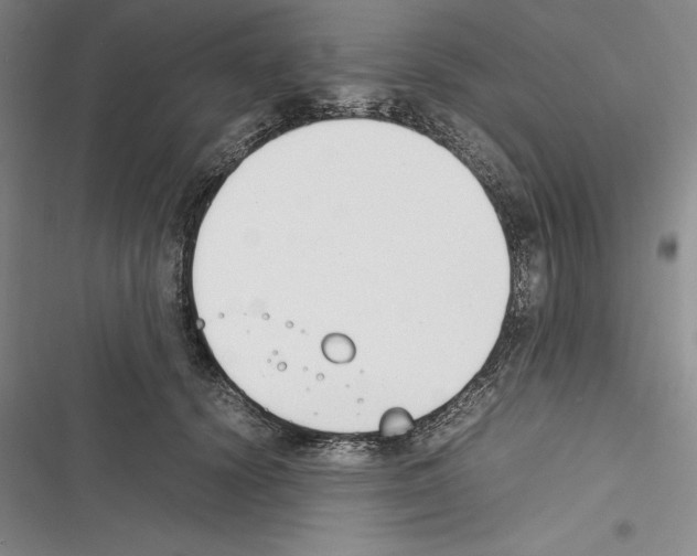 X0000116270656201001111015