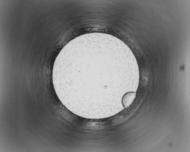 X0000116270657201001111015