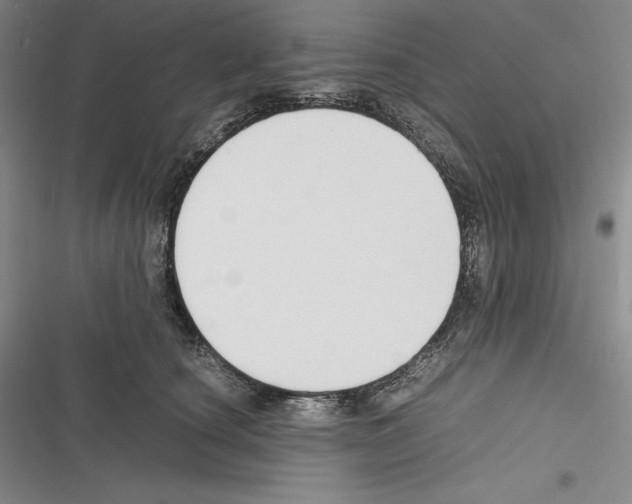 X0000116270660201001111015