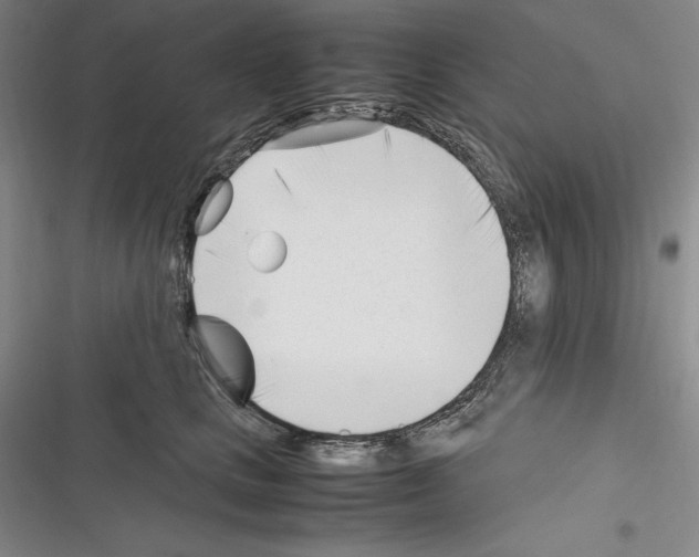 X0000116270661201001111015
