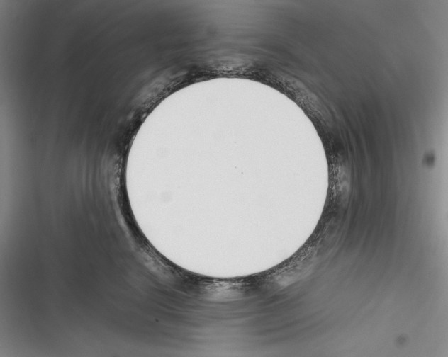 X0000116270664201001111015