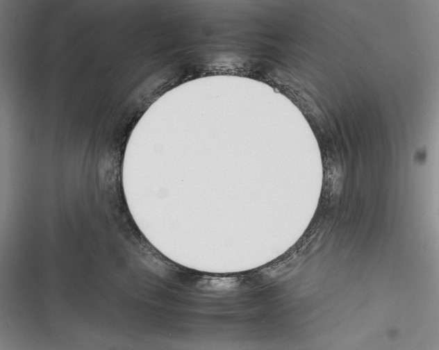 X0000116270665201001111015