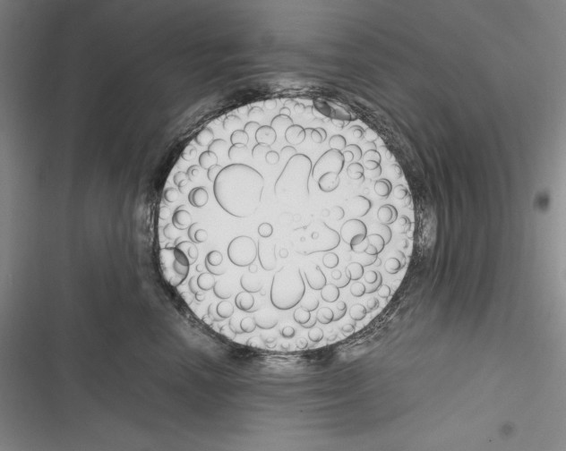 X0000116270666201001111015