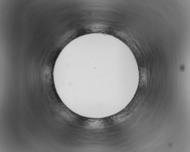 X0000116270667201001111015