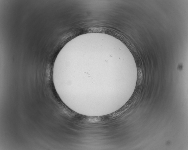 X0000116270668201001111015