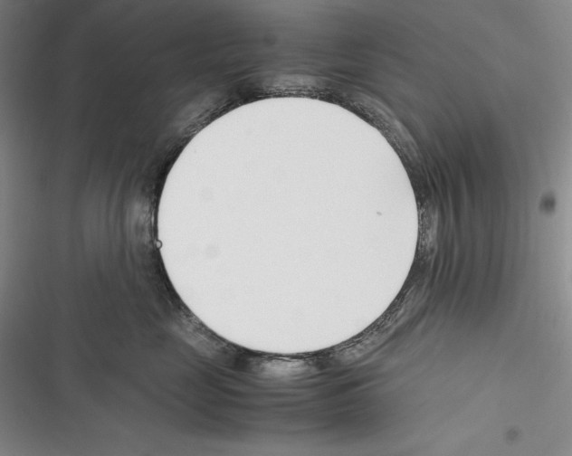 X0000116270669201001111015