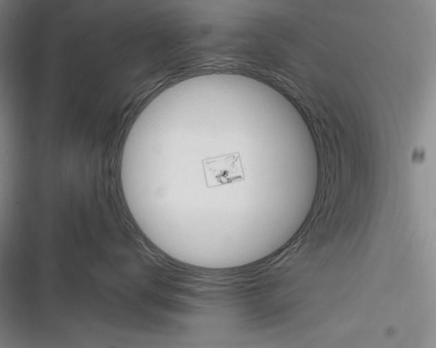 X0000116270672201001111015