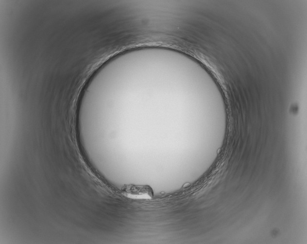X0000116270673201001111015