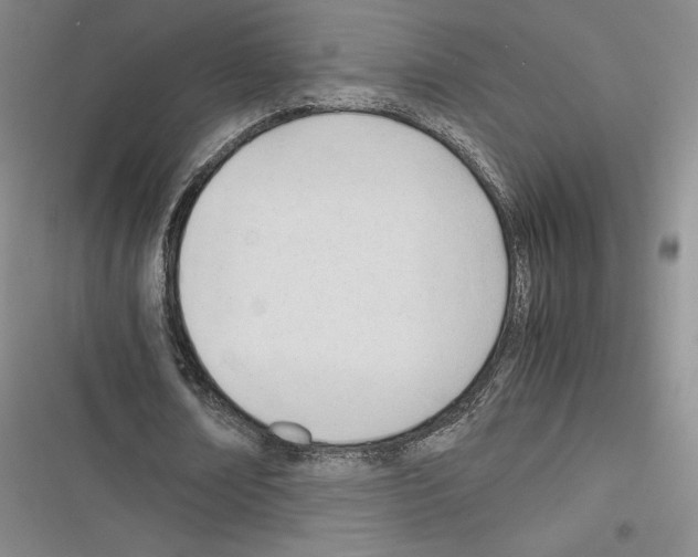 X0000116270674201001111015