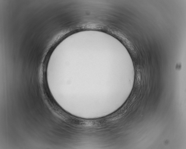X0000116270678201001111015