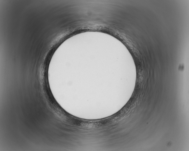 X0000116270679201001111015