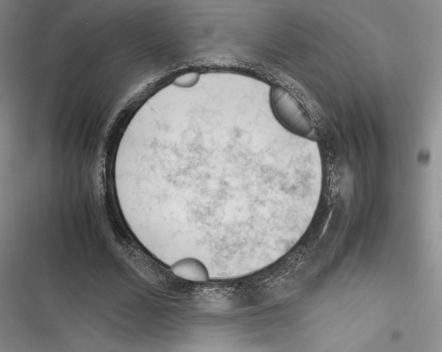 X0000116270680201001111015