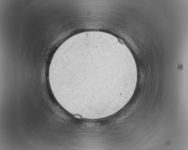 X0000116270681201001111015