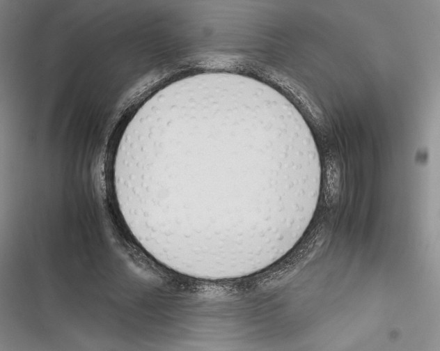 X0000116270682201001111015