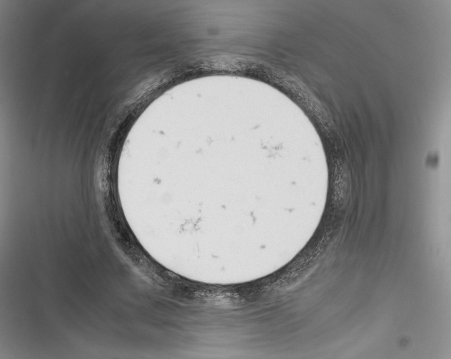 X0000116270683201001111015
