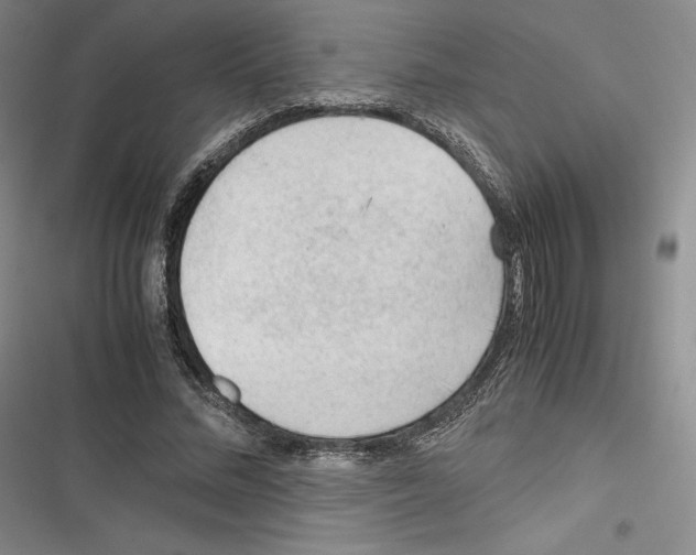 X0000116270684201001111015