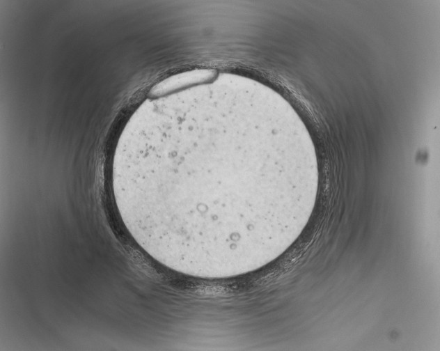 X0000116270685201001111015