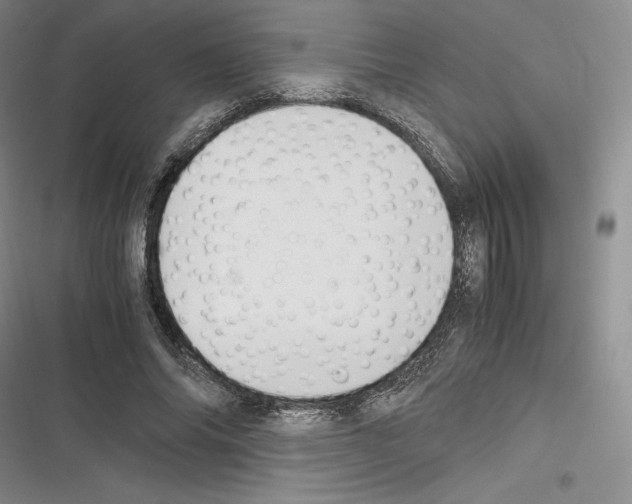 X0000116270686201001111015