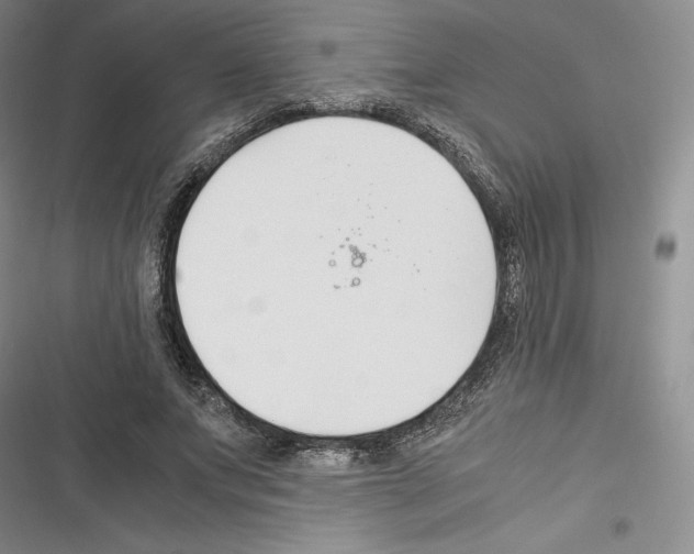 X0000116270687201001111015
