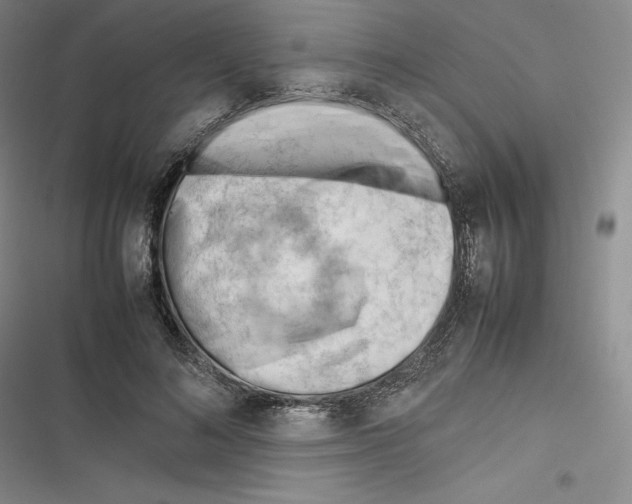 X0000116270692201001111015