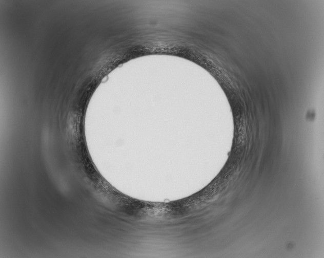 X0000116270695201001111015