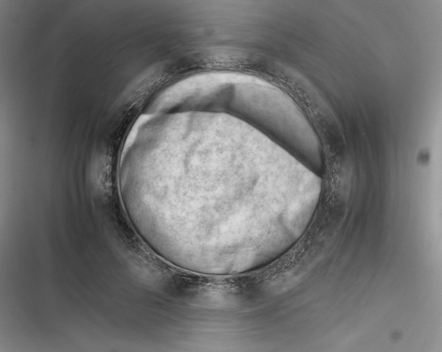 X0000116270696201001111015