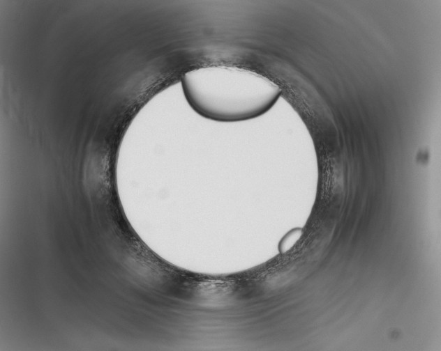 X0000116270700201001111014