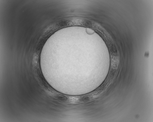 X0000116270701201001111014