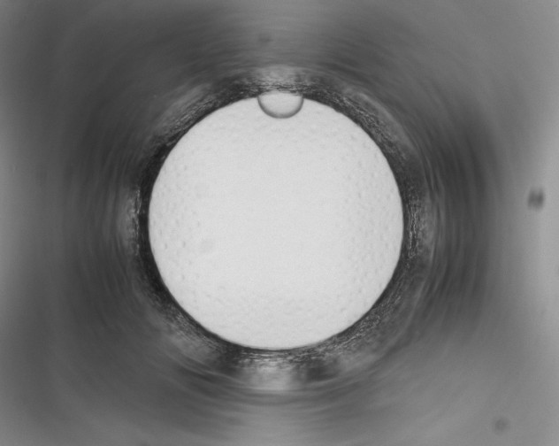 X0000116270702201001111014