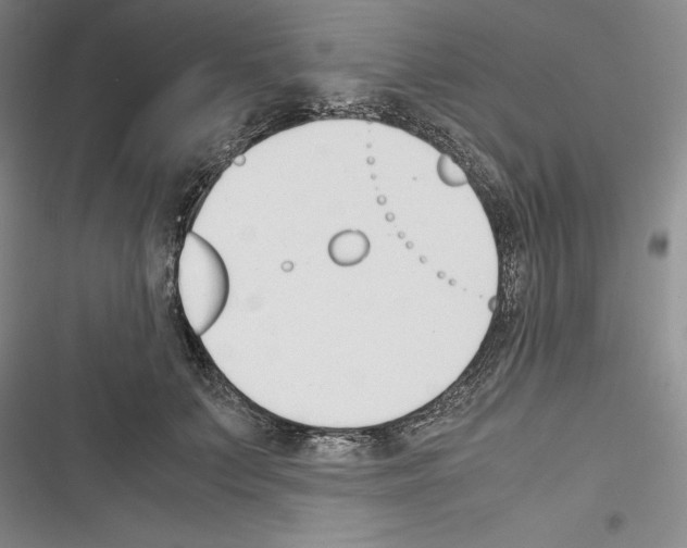 X0000116270703201001111014