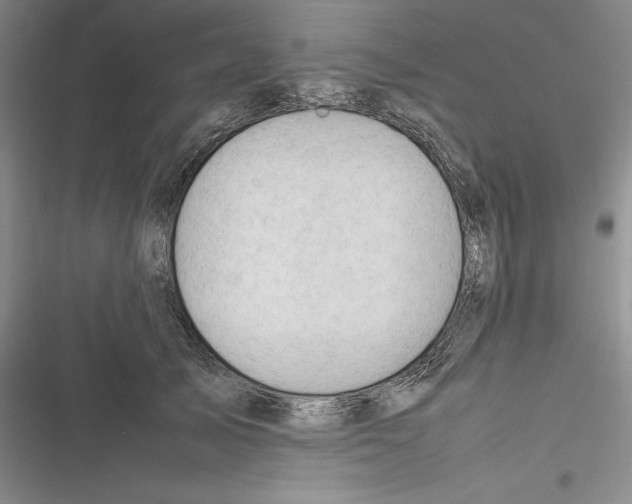 X0000116270705201001111014