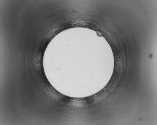 X0000116270708201001111014