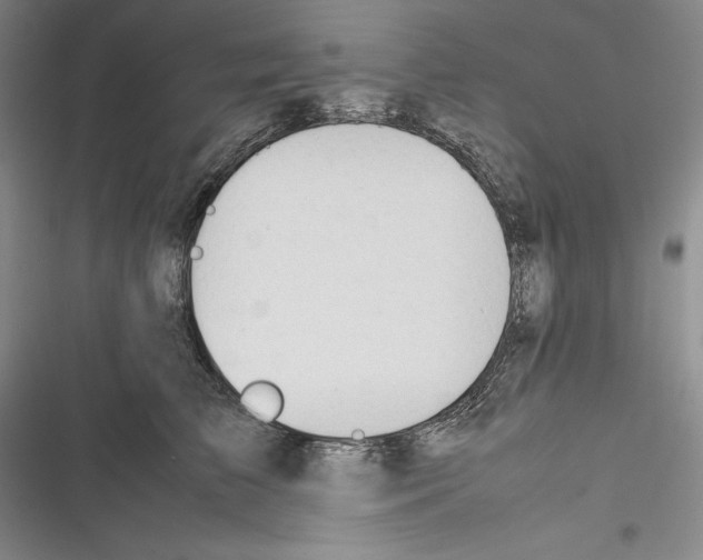 X0000116270709201001111014