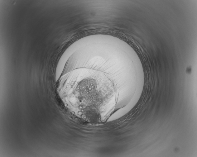 X0000116270715201001111014