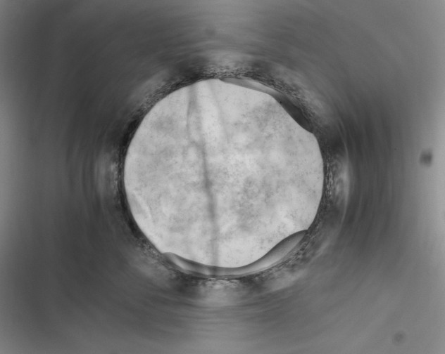 X0000116270716201001111014