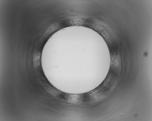X0000116270717201001111014