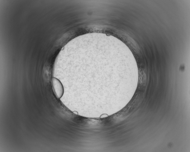 X0000116270718201001111014