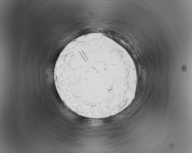 X0000116270719201001111014