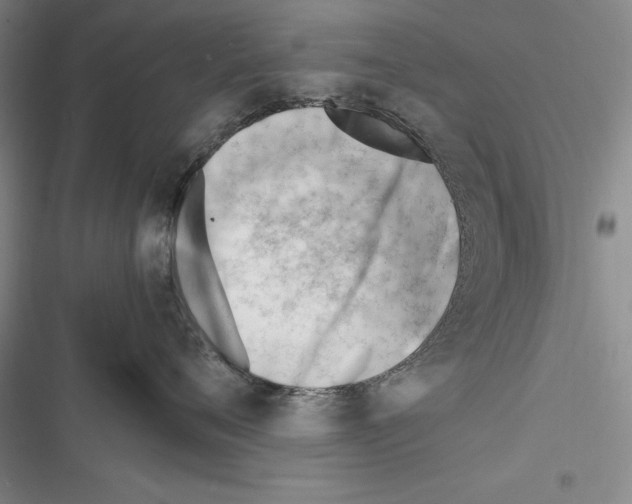 X0000116270720201001111014
