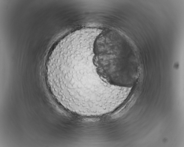 X0000116270721201001111014