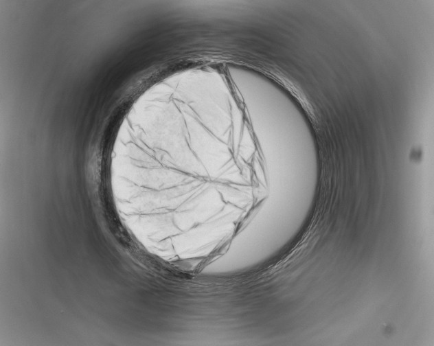 X0000116270722201001111014