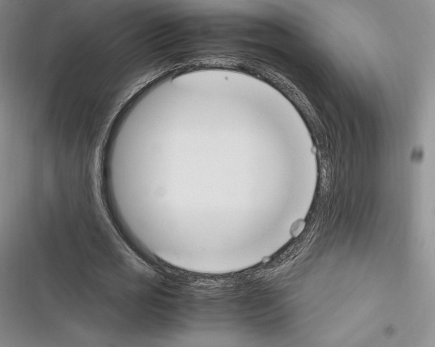 X0000116270725201001111014