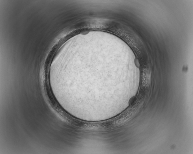 X0000116270726201001111014