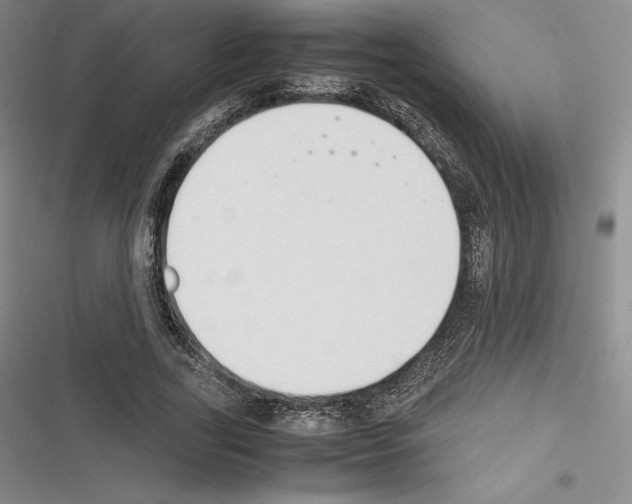 X0000116270731201001111014