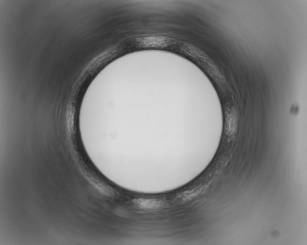 X0000116270733201001111014