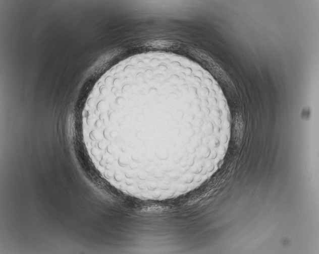 X0000116270734201001111014