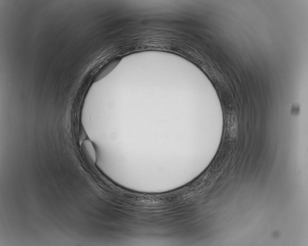 X0000116270735201001111014