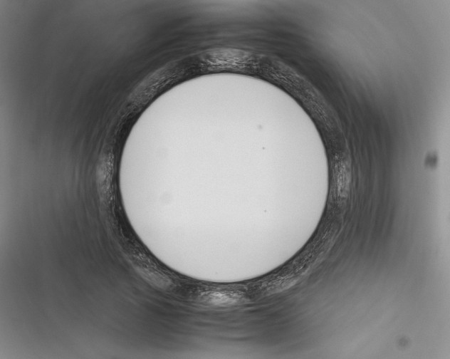 X0000116270737201001111014